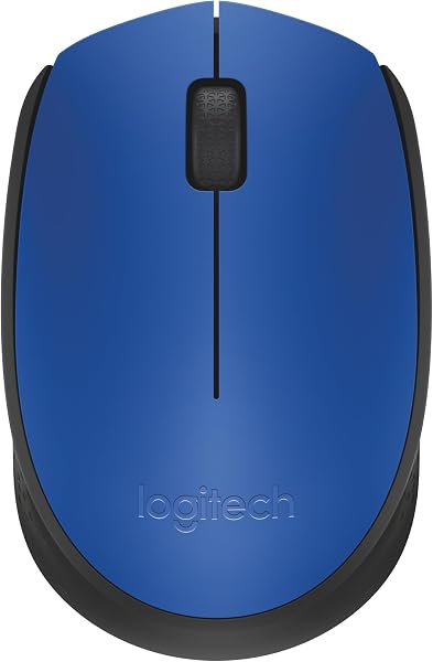 Mouse Logitech M170