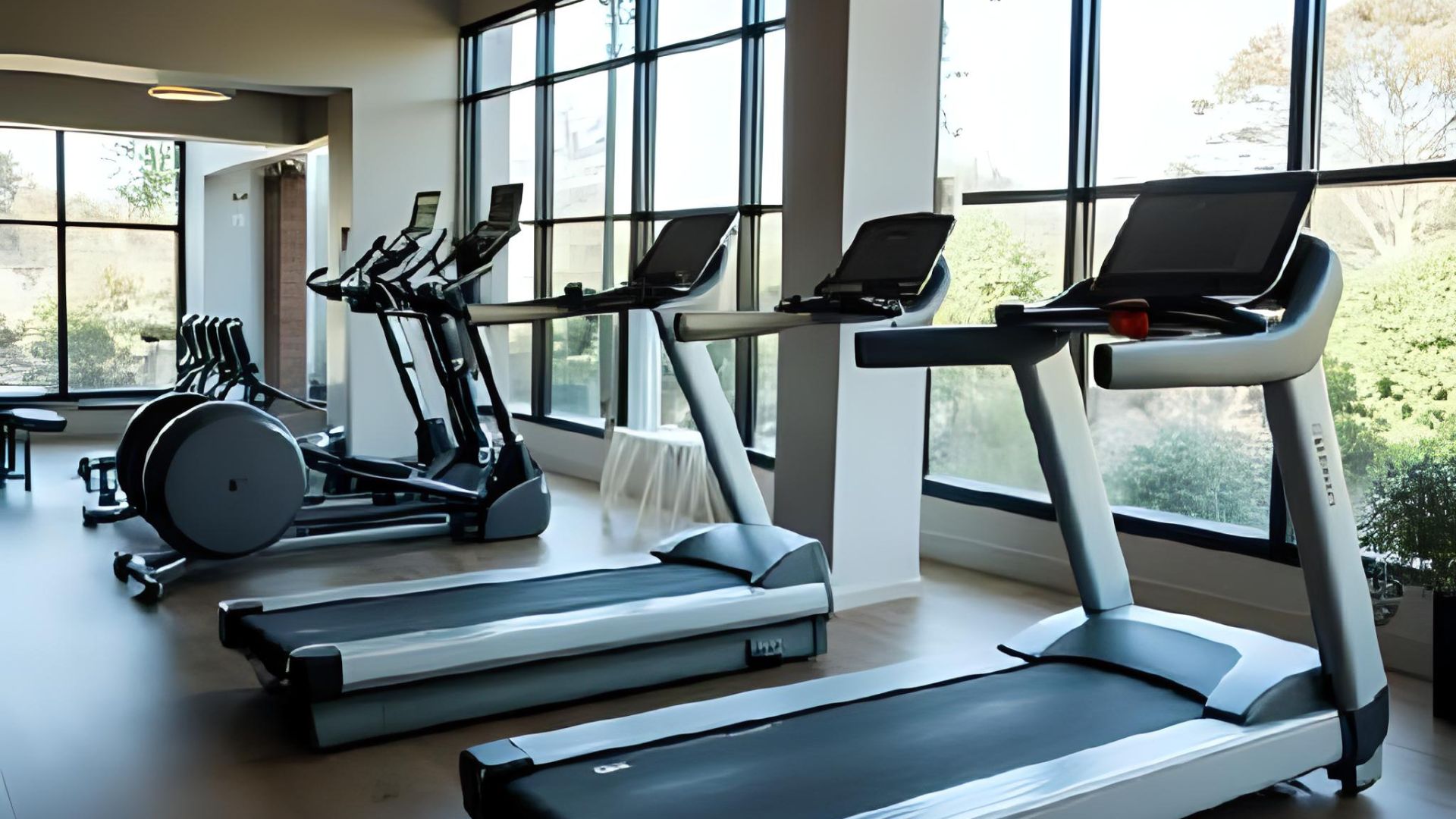 As 7 Melhores Esteiras Ergométricas